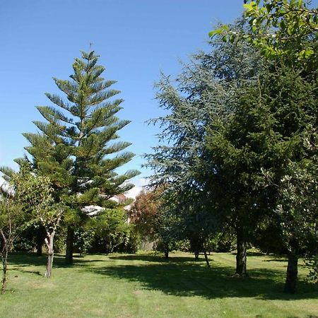 Willa Vivienda Tradicional Con Jardin Y Patio Interior Vilanova de Arousa Zewnętrze zdjęcie