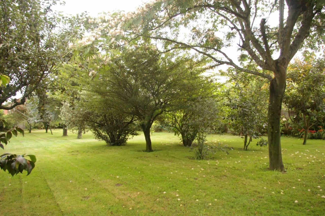 Willa Vivienda Tradicional Con Jardin Y Patio Interior Vilanova de Arousa Zewnętrze zdjęcie
